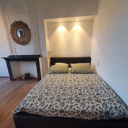 -Garrigue- Face A La Cite Medievale Studio Terrasse Classe 4☆ 카르카손 외부 사진