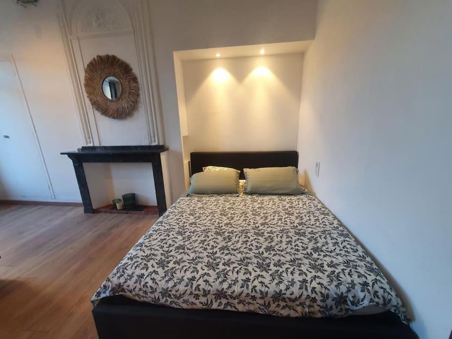 -Garrigue- Face A La Cite Medievale Studio Terrasse Classe 4☆ 카르카손 외부 사진